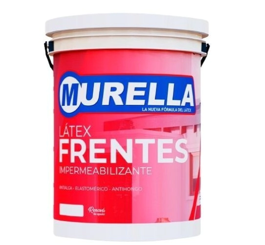 LATEX FRENTE * 20 LTS